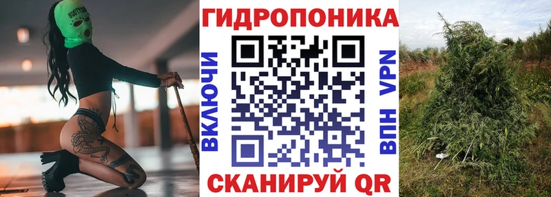 цены наркотик  Печора  Шишки марихуана сатива 